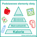 featured image thumbnail for post Trzy podstawowe elementy diety: kalorie, makroskładniki,  makroelementy i mikroelementy.